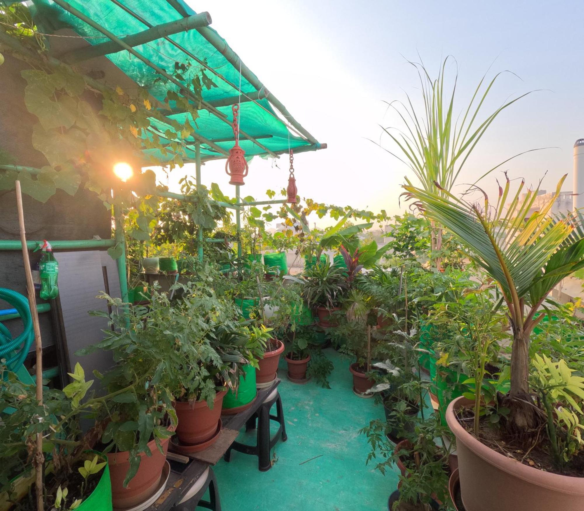 Apartamento Choudhary White House Udaipur Exterior foto