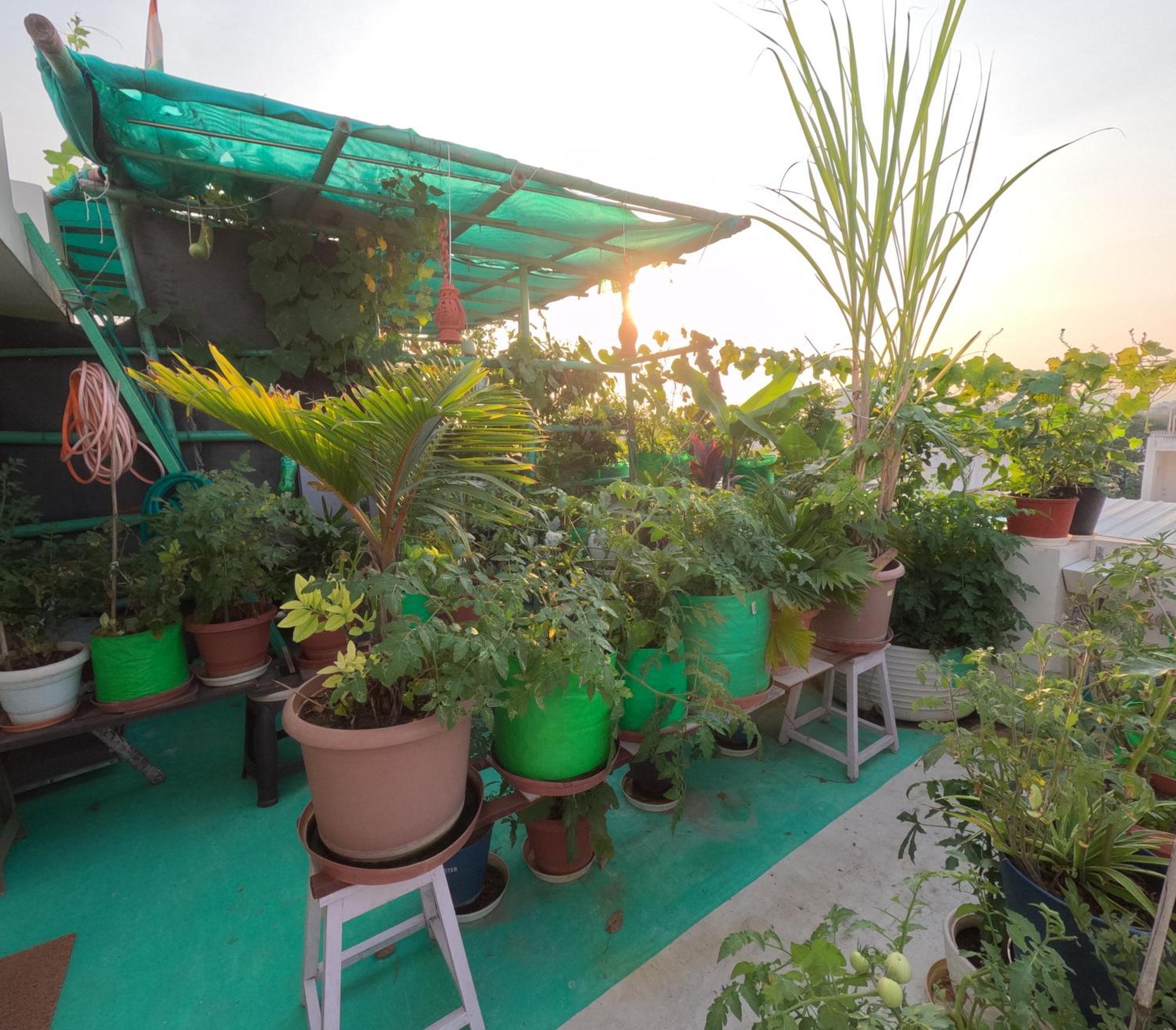 Apartamento Choudhary White House Udaipur Exterior foto